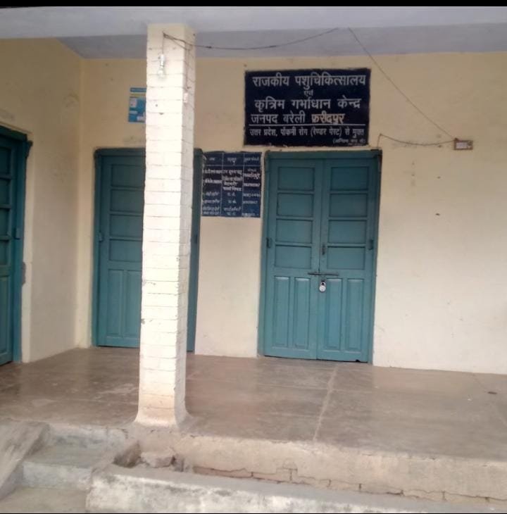 फरीदपुर में एक्सपायर दवा लगाने से भैंस की मौत का आरोप, पशु चिकित्सक की कार्यप्रणाली पर उठे सवाल  रिपोर्ट विकास ठाकुर के साथ/ कैमरामैन प्रियांश गंगवार ।  बरेली/फरीदपुर। फरीदपुर क्षेत्र में घायल भैंस के उपचार के दौरान कथित रूप से एक्सपायर दवा लगाए जाने से उसकी मौत होने का मामला सामने आया है। ग्रामीणों