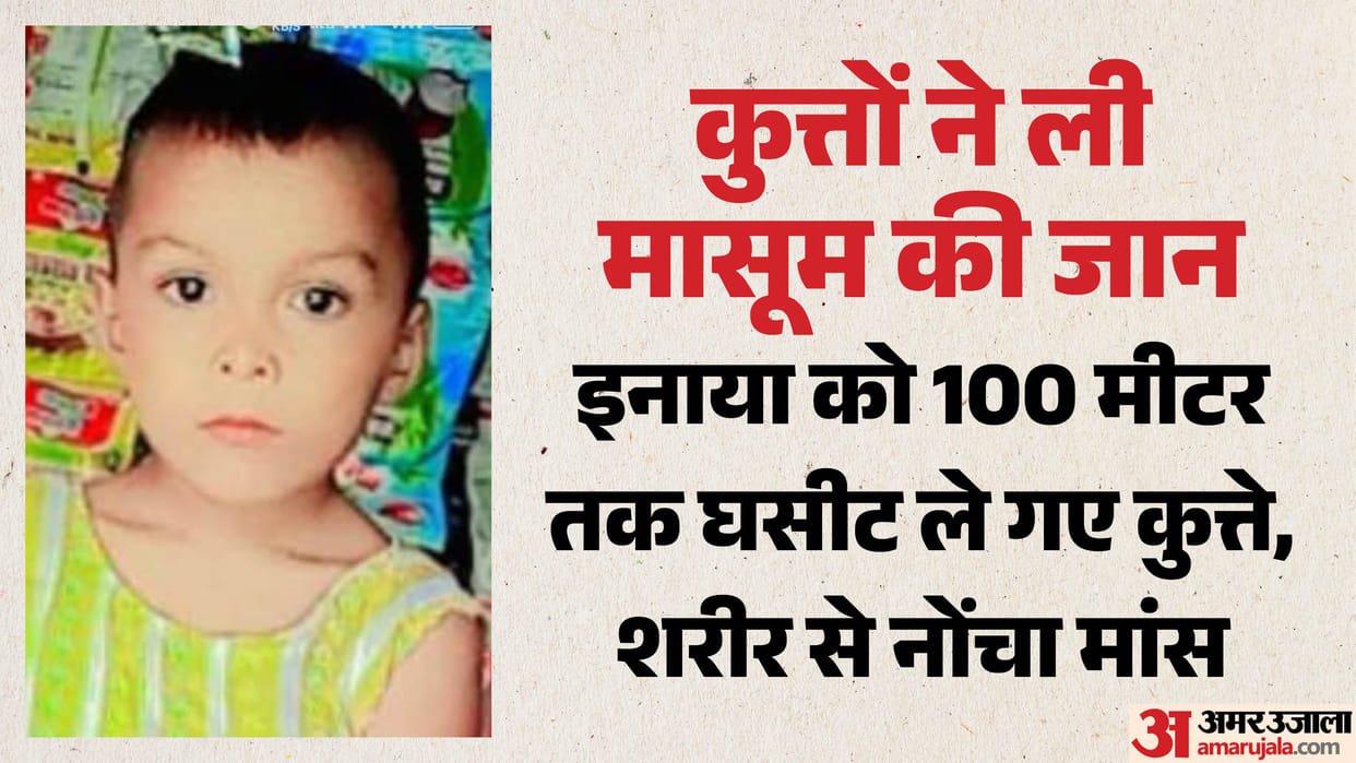 UP: बरेली में कुत्तों ने छह साल की बच्ची को मार डाला, शरीर पर अनगिनत घाव, हालत देख परिजनों की कांपी रूह  बरेली के सीबीगंज क्षेत्र से रूह कंपा देने वाली घटना सामने आई है। रविवार को छह साल की बच्ची पर कुत्तों ने हमला कर दिया। उसे 100 मीटर तक घसीट ले गए और उसे नोंच-नोंचकर मार डाला। मासूम की हालत देख पर