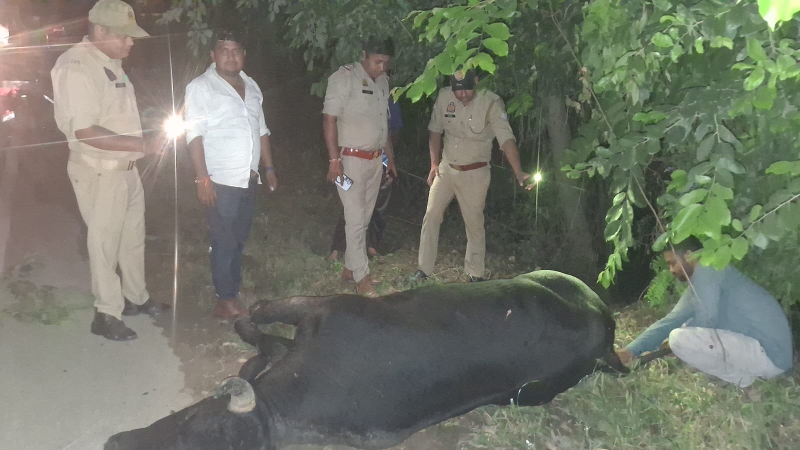 गौ रक्षक विकास ठाकुर         फरीदपुर तहसील ,एक सूचना प्राप्त होती हैथाना फतेहगंज पूर्वी के हेड कांस्टेबल नीरज भाई के द्वारा  क्षेत्र फौजी ढाबा के पास एक अज्ञात बाहन ने एक नंदी महाराज का एक्सीडेंट कर दिया उसके बाद वह पानी में 6-7 दिन तक पड़े रहते हैं कुछ फरीदपुर तहसील के जो अपने नाम के आगे गौ रक्षक ल