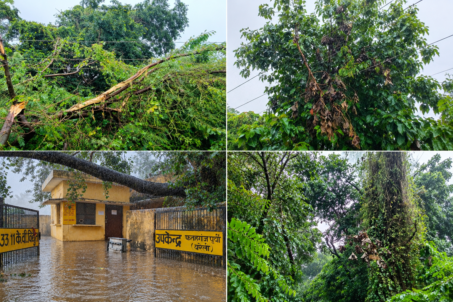 बारिश, आंधी और जलभराव के बीच भी डटे रहे बिजली कर्मचारी फतेहगंज पूर्वी, बरेली में 33 केवी लाइन की पेट्रोलिंग में जुटे कर्मचारी, जनता को जल्द बिजली आपूर्ति बहाल करने की कोशिश फतेहगंज पूर्वी, बरेली। कोरोना महामारी हो, भीषण बारिश हो, आंधी-तूफान हो, बाढ़ की स्थिति हो या फिर किसी तरह की आपदा—बिजली विभाग क